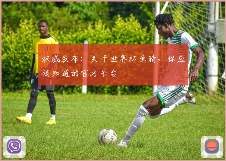 权威发布：关于世界杯竞猜，你应该知道的官方平台