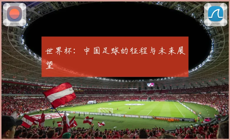 世界杯：中国足球的征程与未来展望