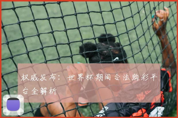 权威发布：世界杯期间合法购彩平台全解析