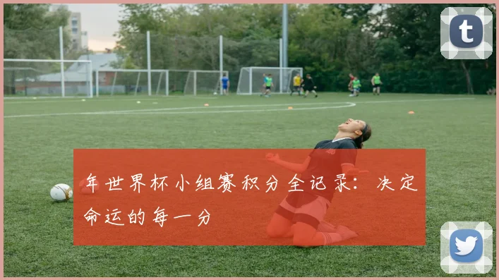 年世界杯小组赛积分全记录：决定命运的每一分
