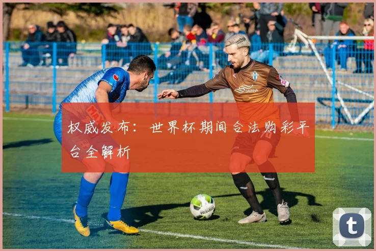 权威发布：世界杯期间合法购彩平台全解析