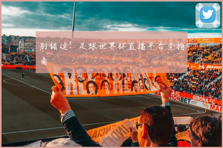 别错过！足球世界杯直播平台全指南
