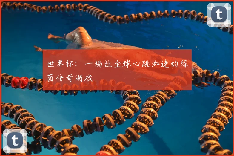 世界杯：一场让全球心跳加速的绿茵传奇游戏