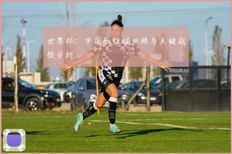 世界杯：中国队征程回顾与关键战役分析