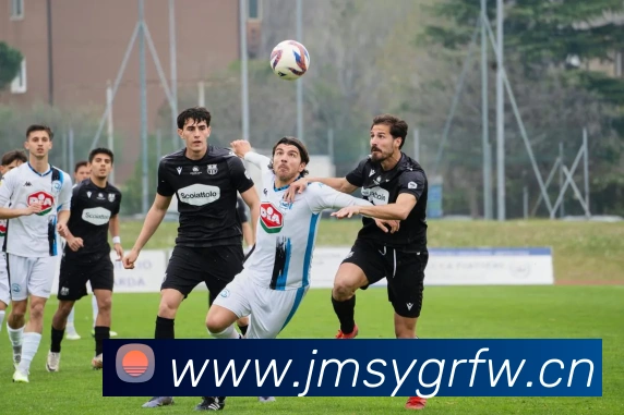 星空网页平台生态图